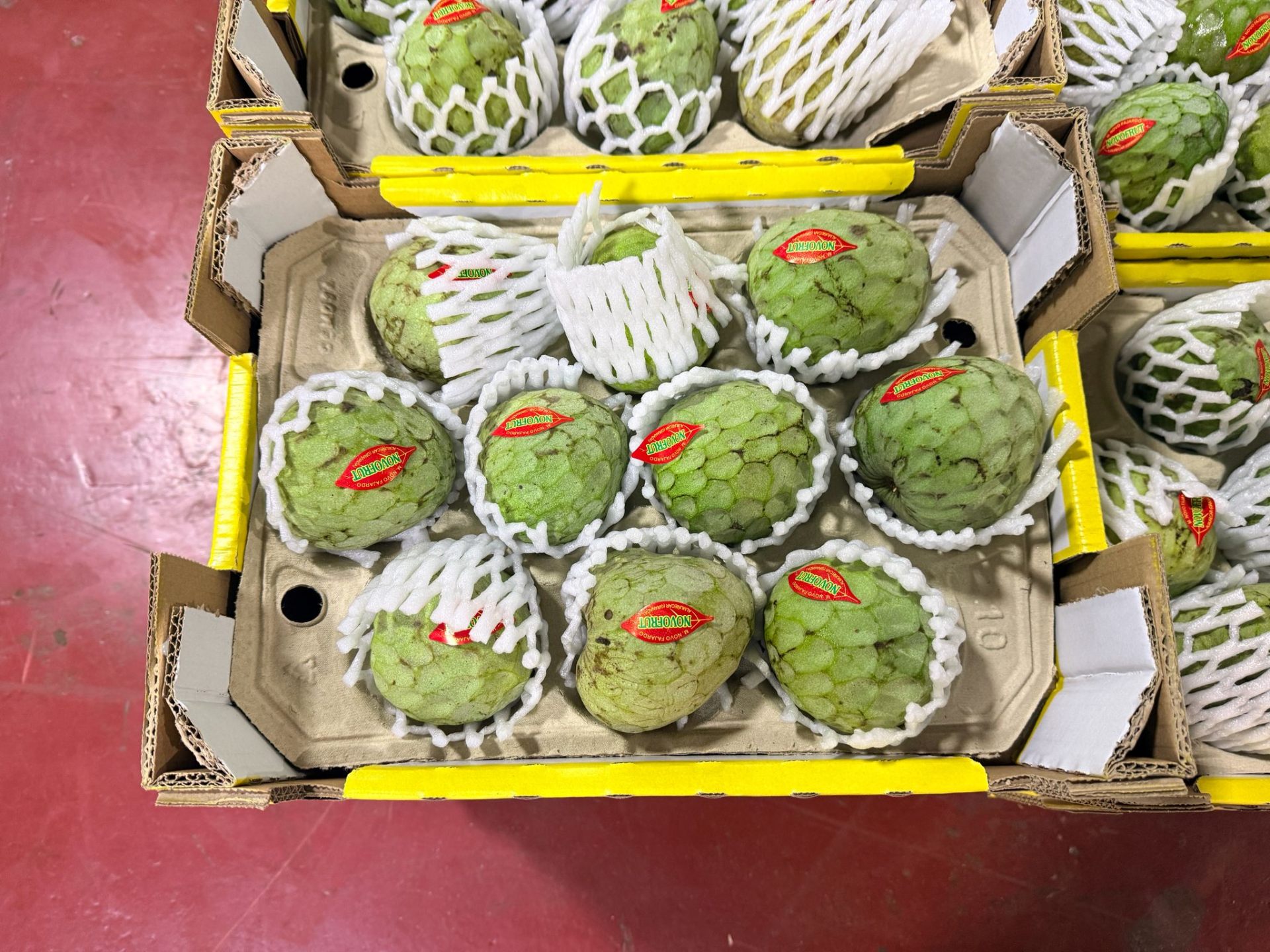 Chirimoyas - Surfrutas SLU Mercalaspalmas