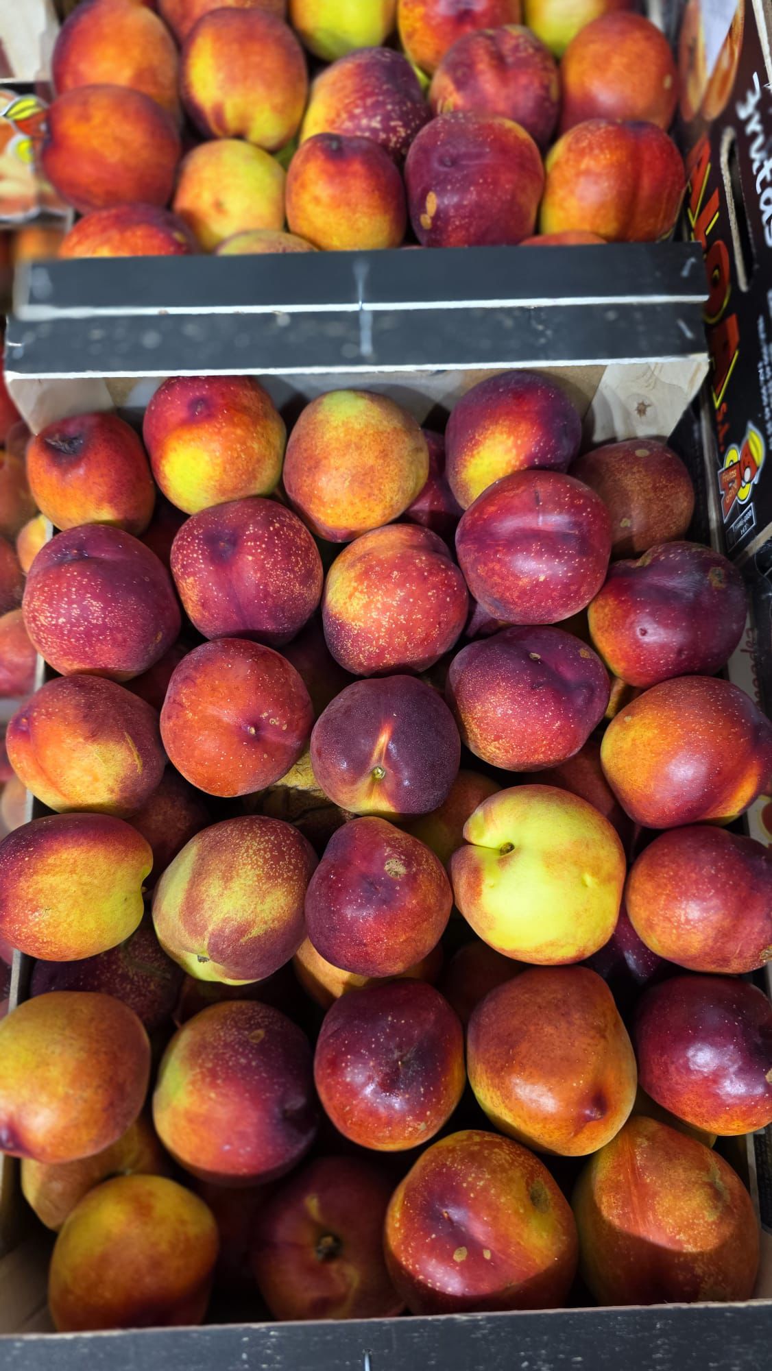Nectarinas - Surfrutas SLU Mercalaspalmas