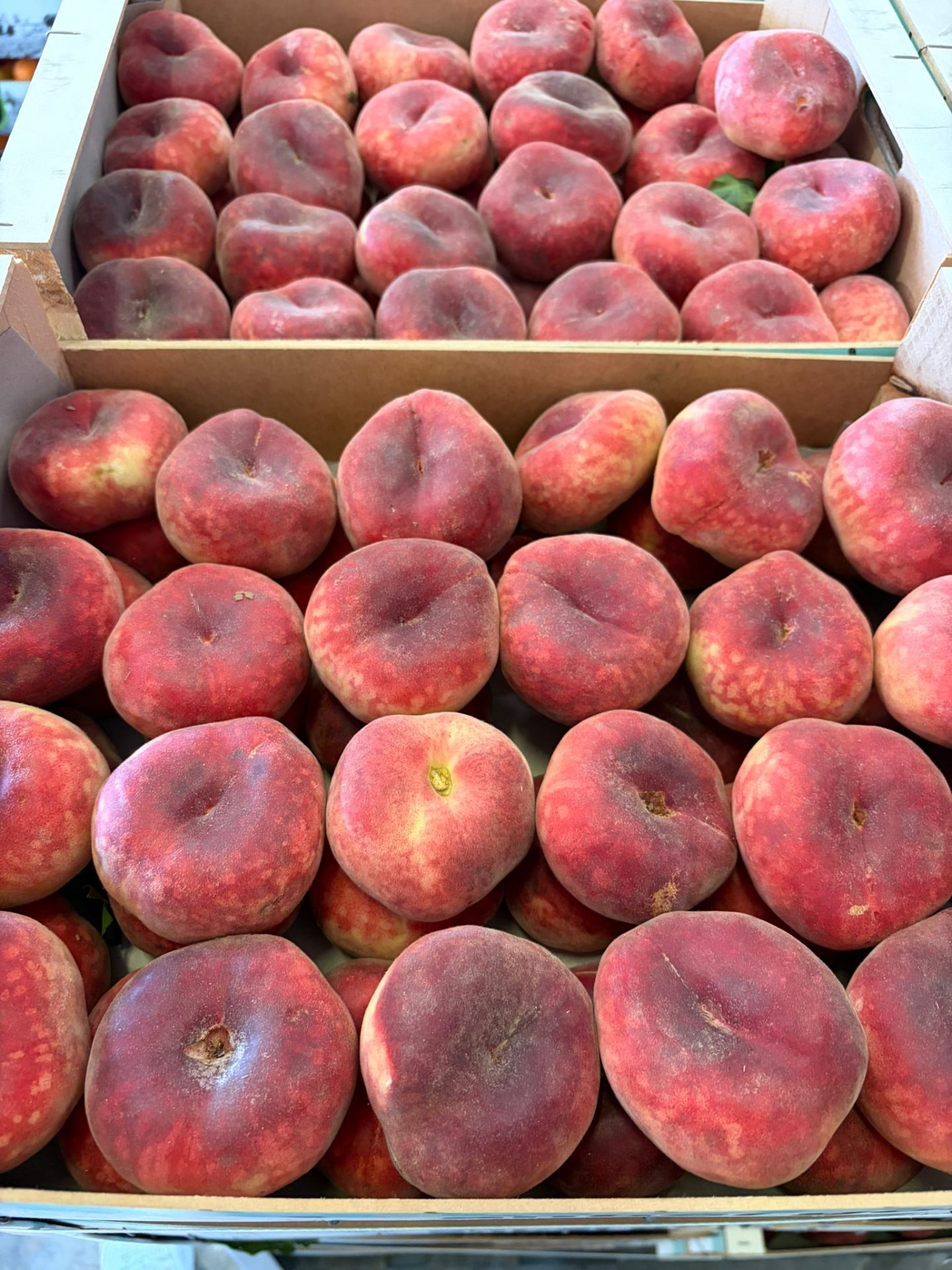 Paraguayos - Surfrutas SLU Mercalaspalmas